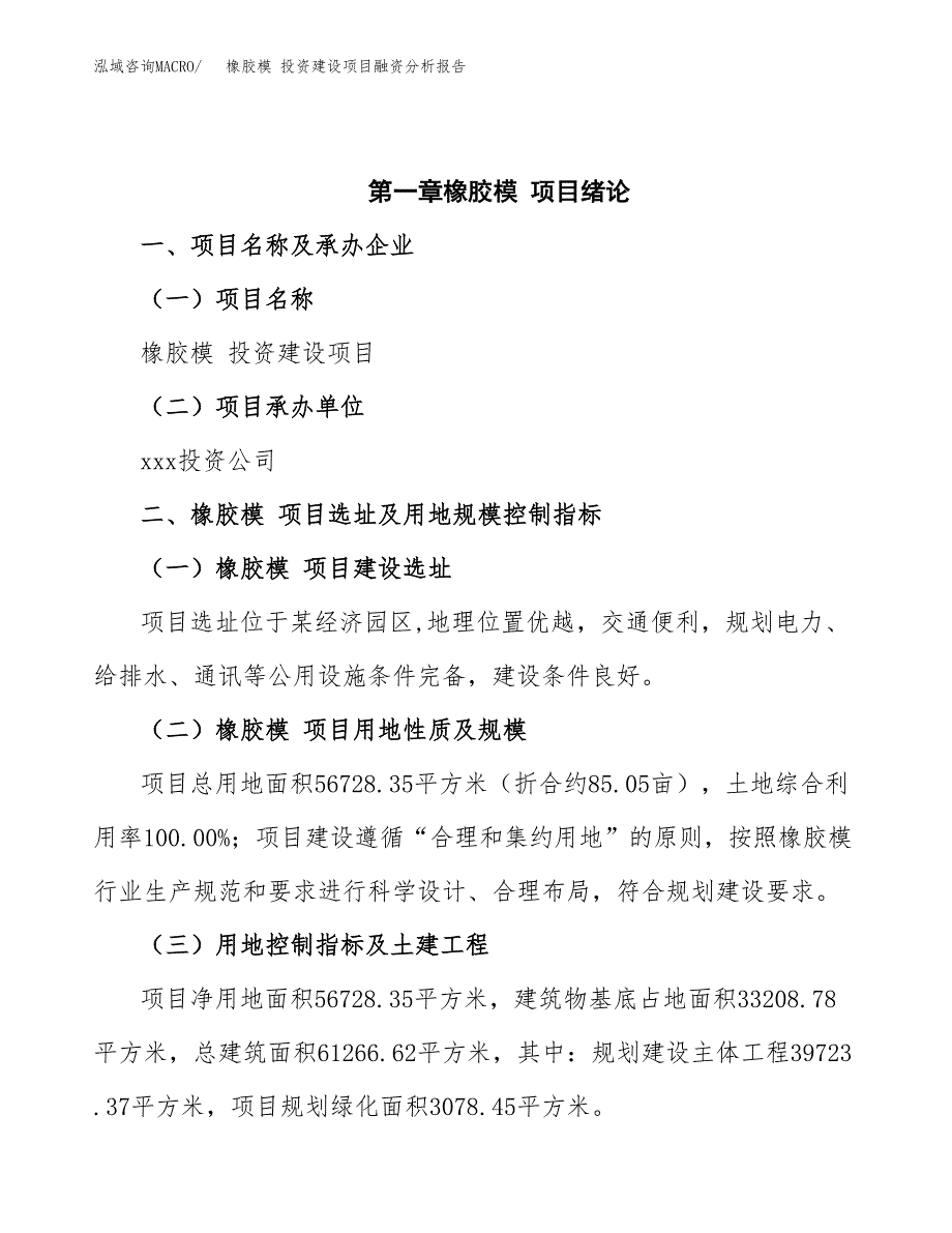 橡胶模 投资建设项目融资分析报告.docx_第4页