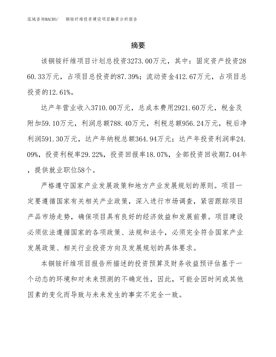 铜铵纤维投资建设项目融资分析报告.docx_第2页