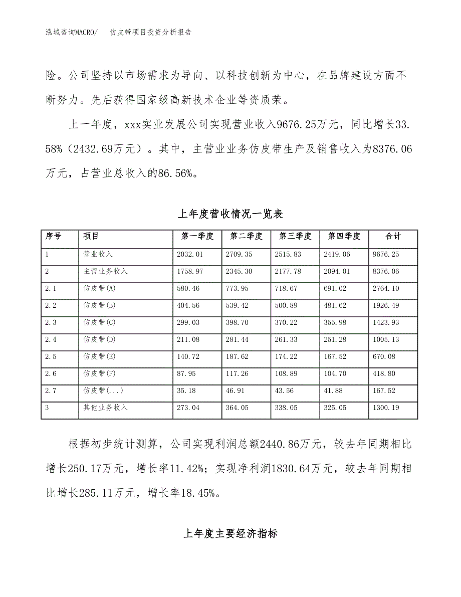 仿皮带项目投资分析报告（总投资7000万元）（32亩）_第3页