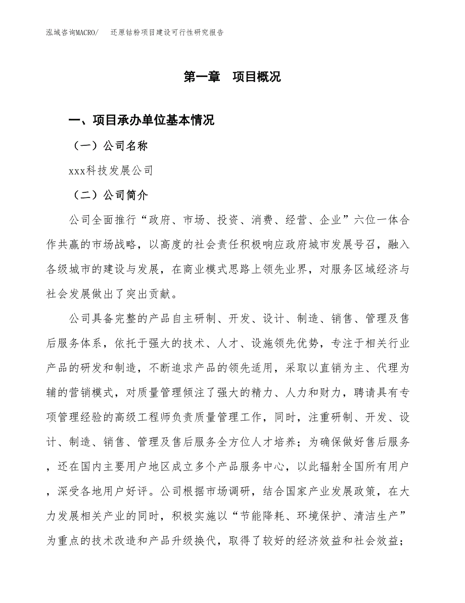 还原钴粉项目建设可行性研究报告.docx_第4页