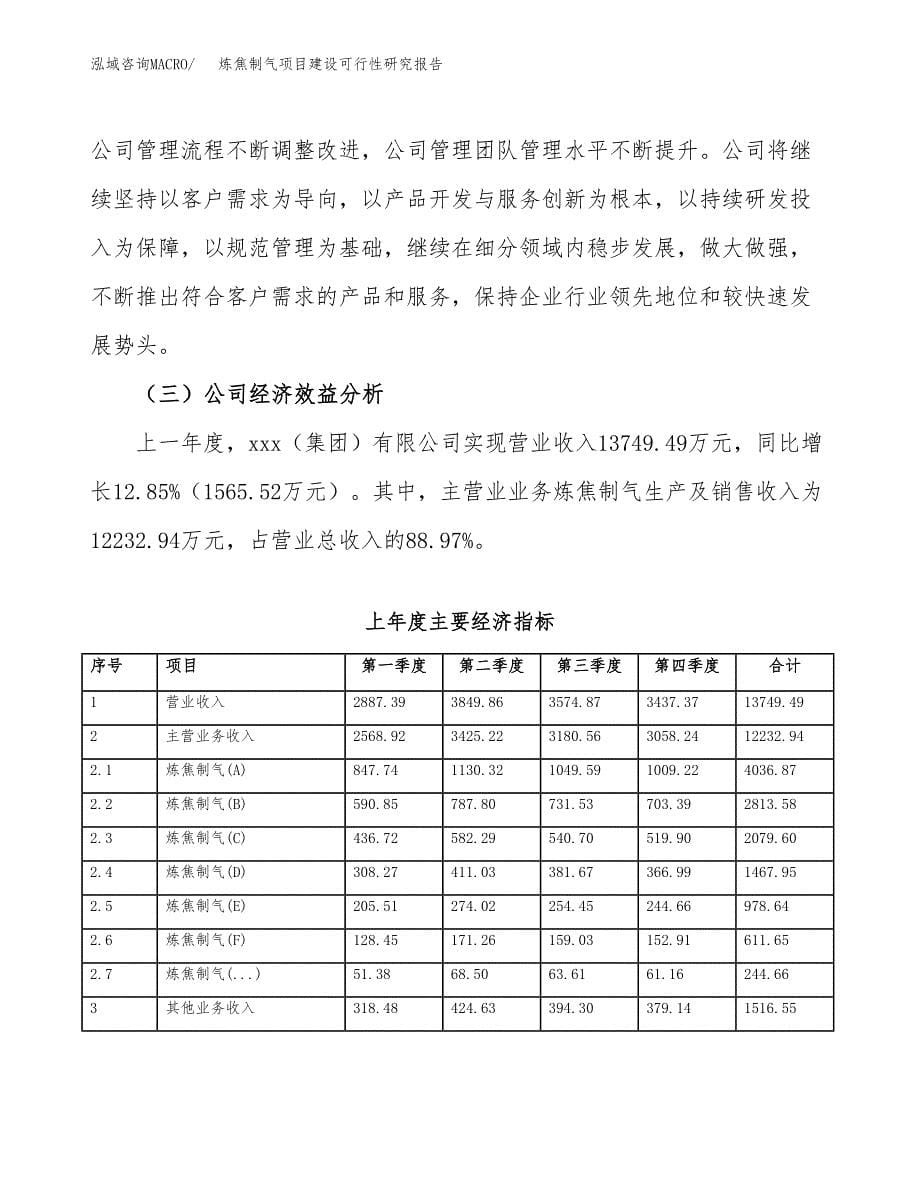 炼焦制气项目建设可行性研究报告.docx_第5页