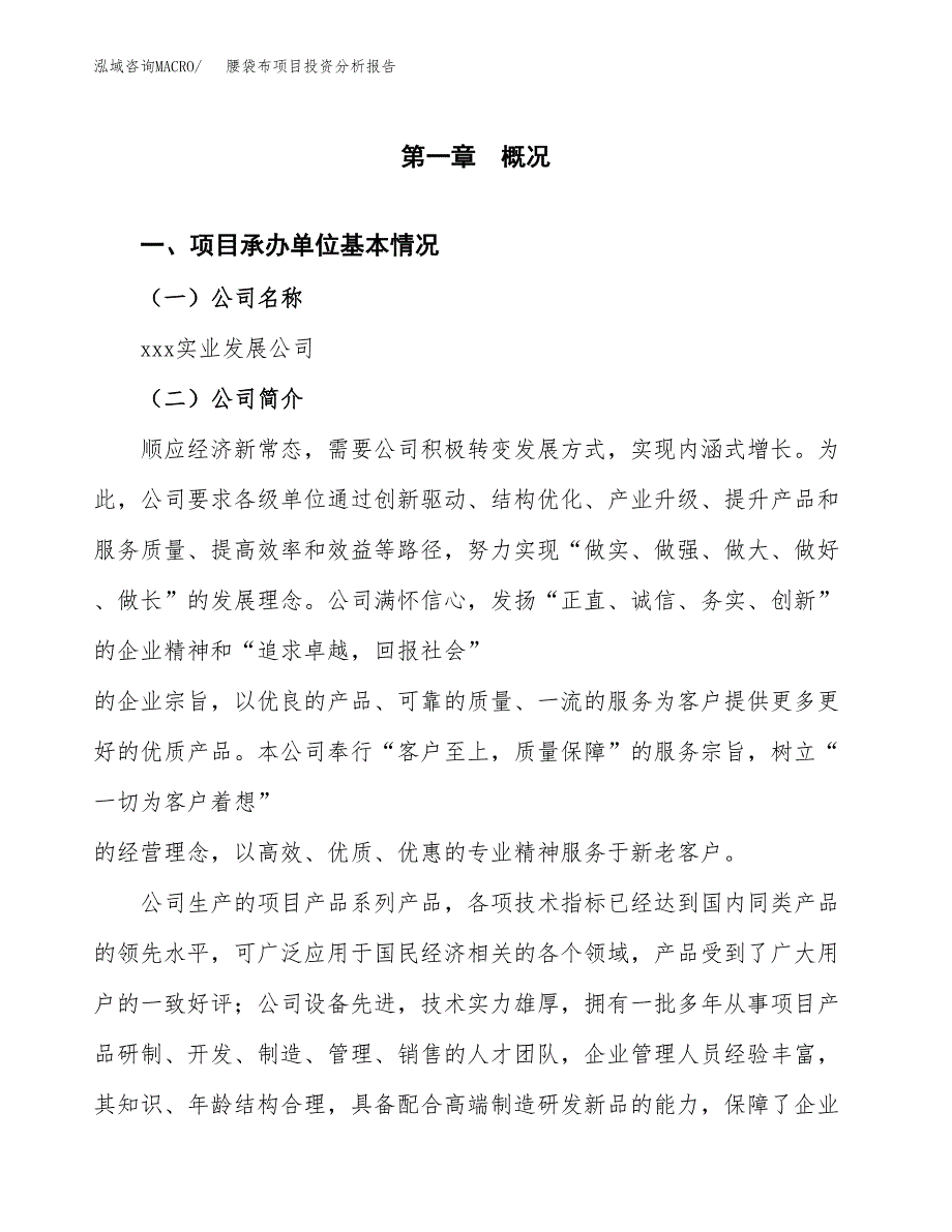 腰袋布项目投资分析报告（总投资4000万元）（19亩）_第2页