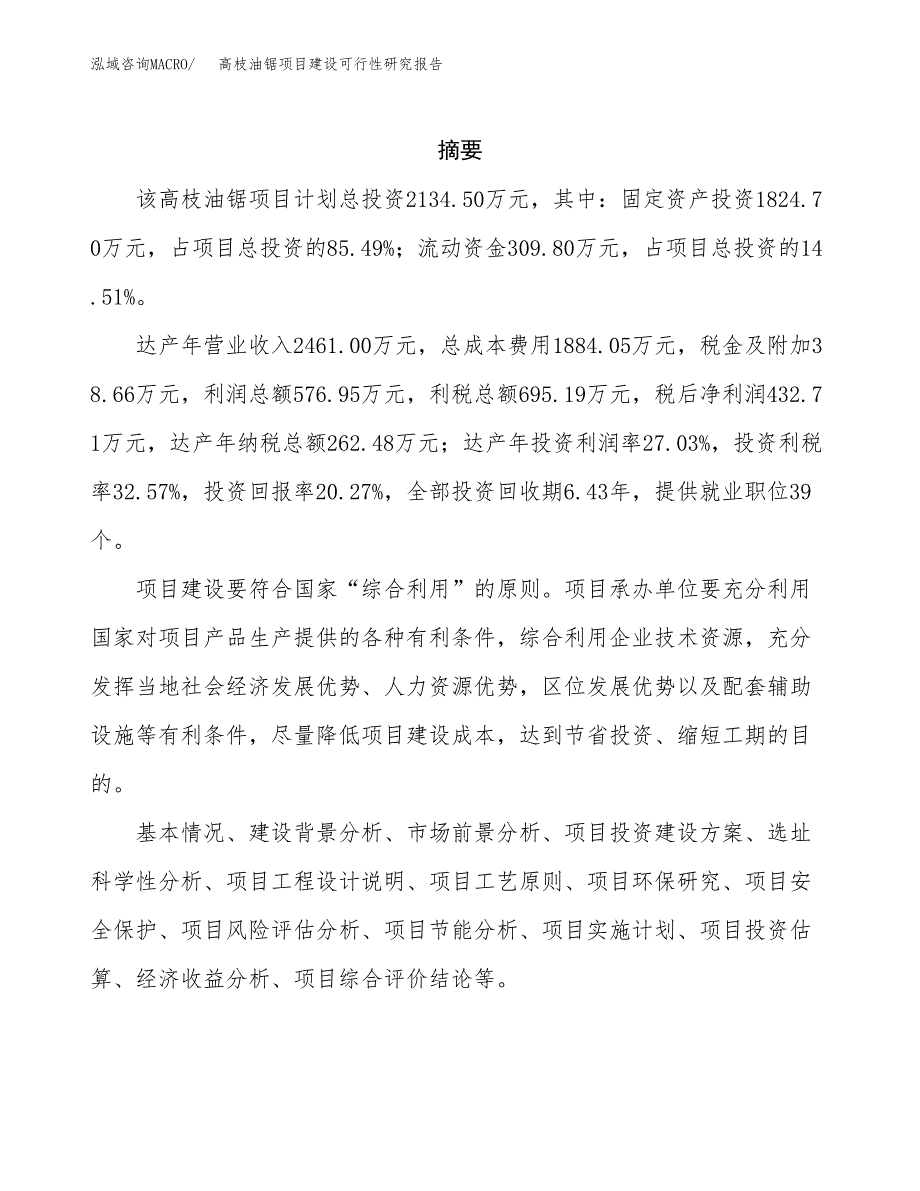 高枝油锯项目建设可行性研究报告.docx_第2页