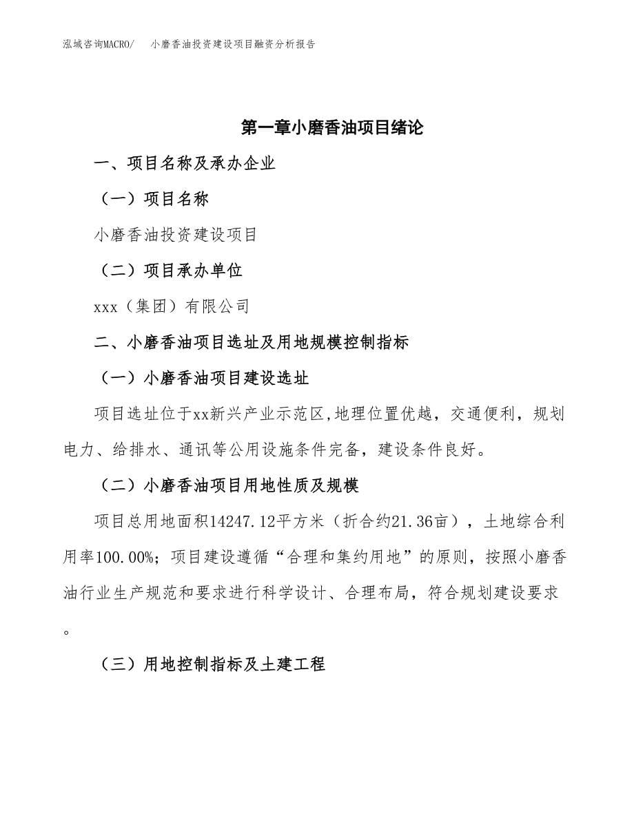 小磨香油投资建设项目融资分析报告.docx_第5页