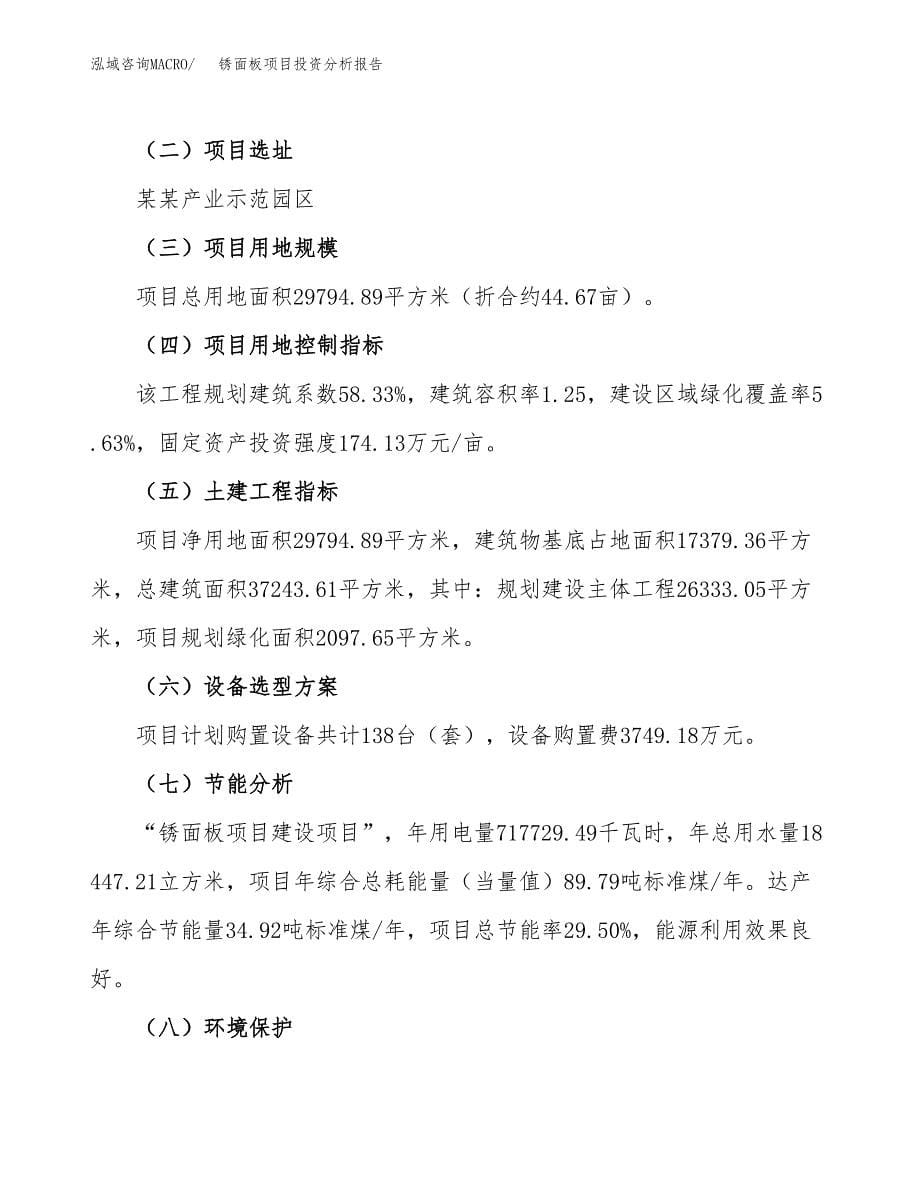 锈面板项目投资分析报告（总投资11000万元）（45亩）_第5页