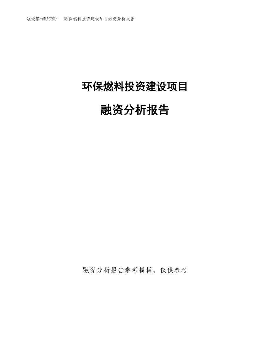 环保燃料投资建设项目融资分析报告.docx_第1页