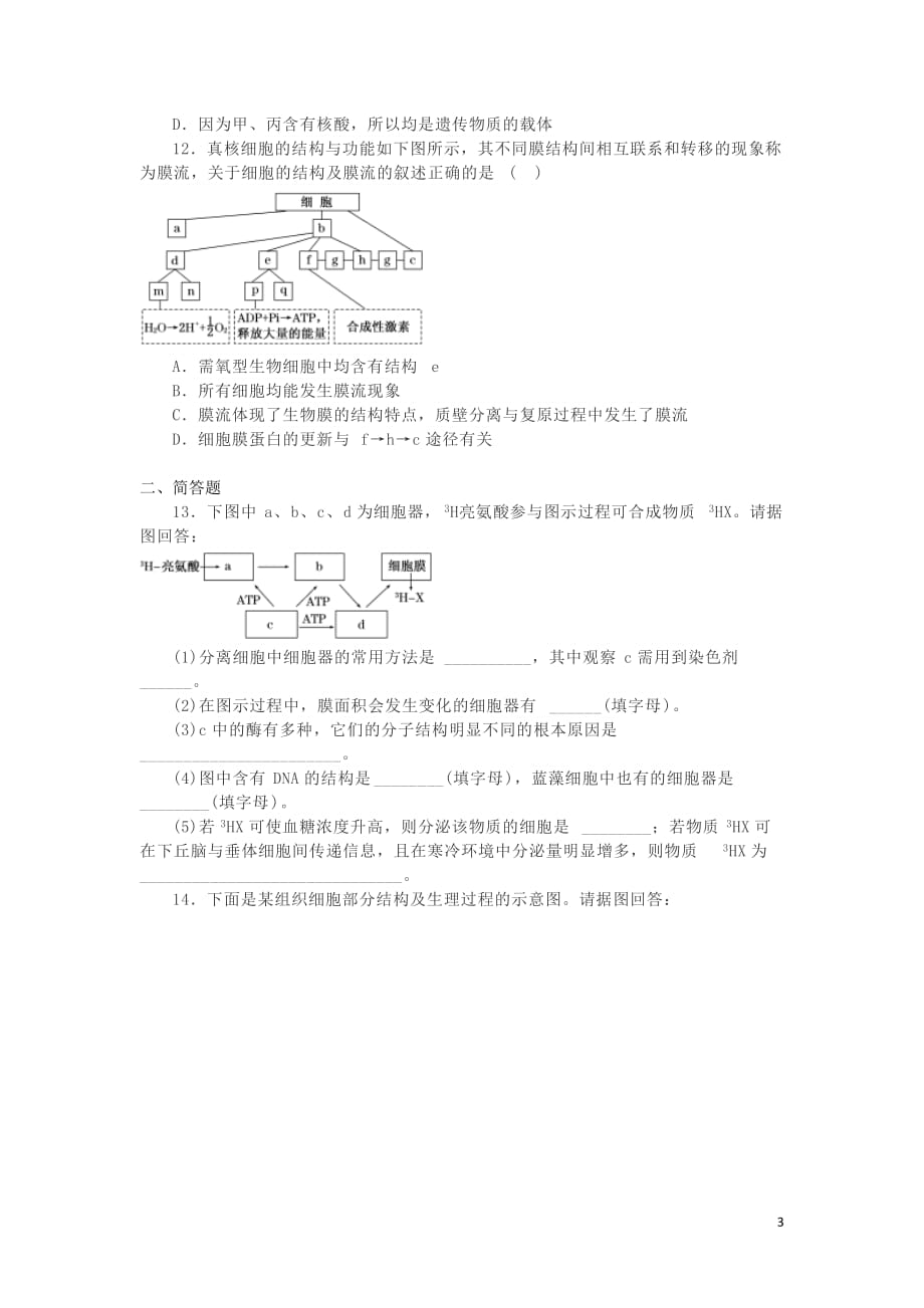 湖南省长沙市高中生物作业6细胞器（含解析）_第3页