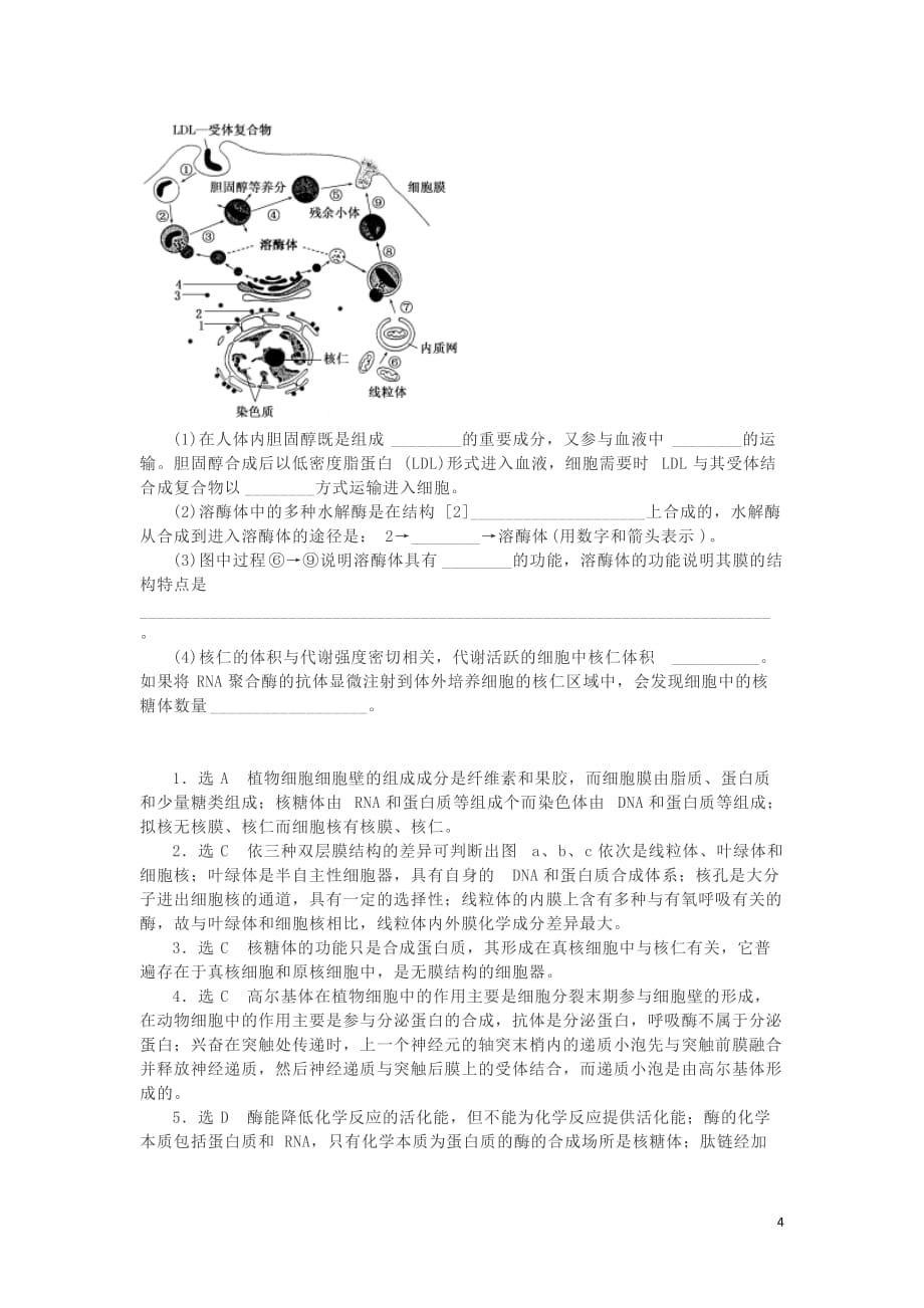 湖南省长沙市高中生物作业6细胞器（含解析）_第4页