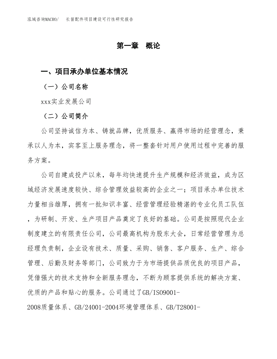 长笛配件项目建设可行性研究报告.docx_第4页