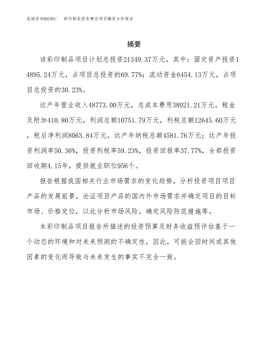 彩印制品投资建设项目融资分析报告.docx_第2页