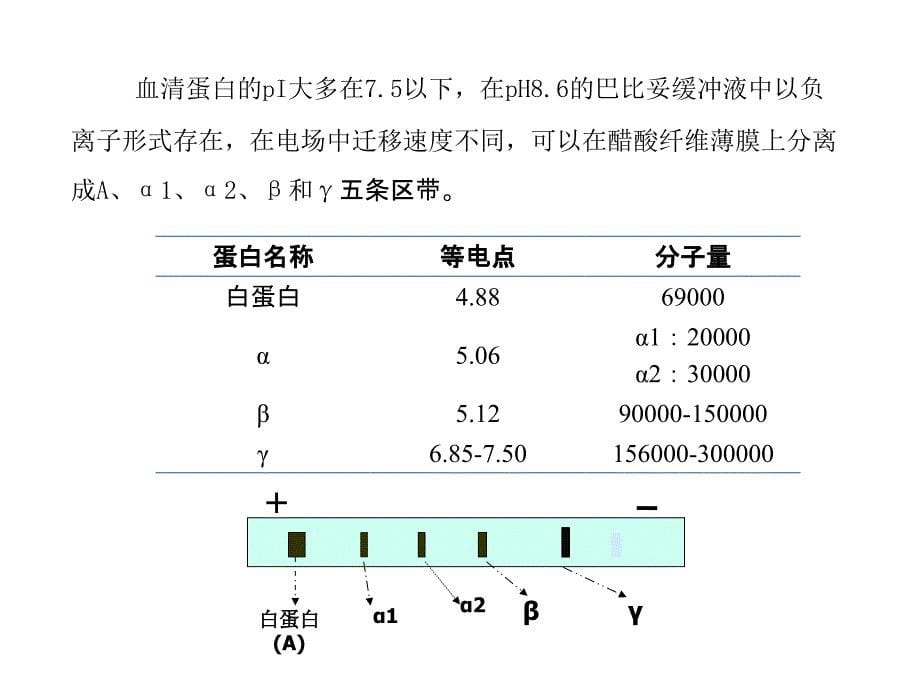 试验专题模块三血液生化检验_生物化学与分子生物学_第5页