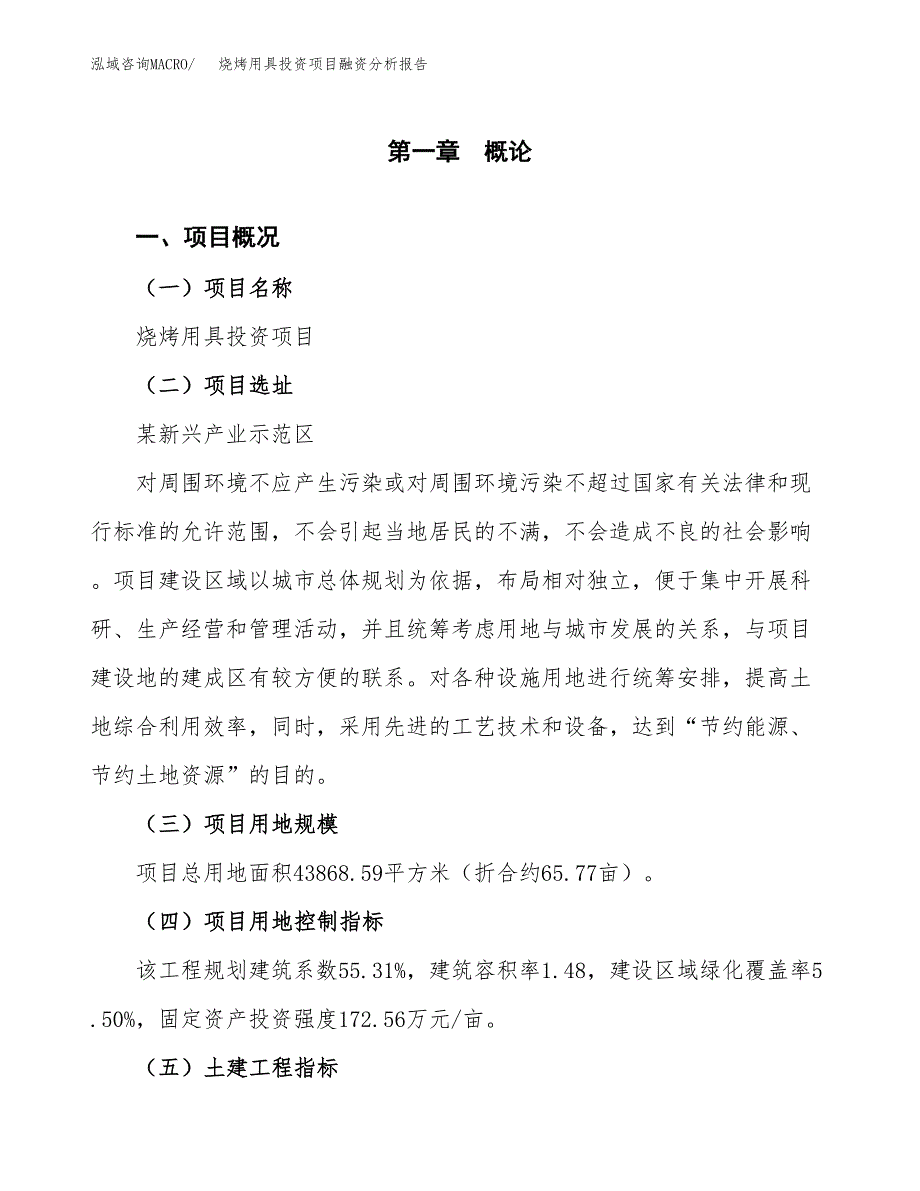 烧烤用具投资项目融资分析报告.docx_第1页