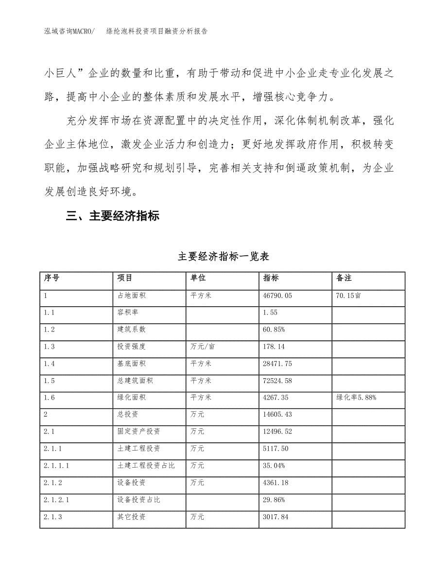 绦纶泡料投资项目融资分析报告.docx_第5页