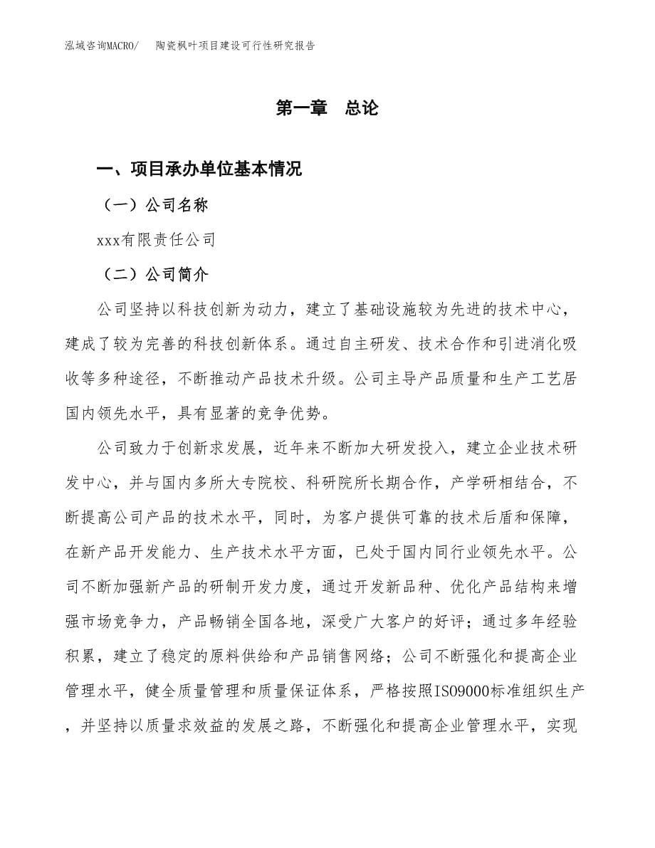 陶瓷枫叶项目建设可行性研究报告.docx_第5页