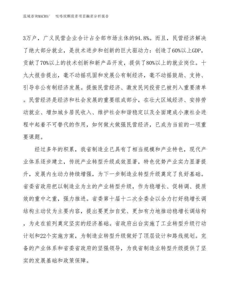 哒咯烷酮投资项目融资分析报告.docx_第5页