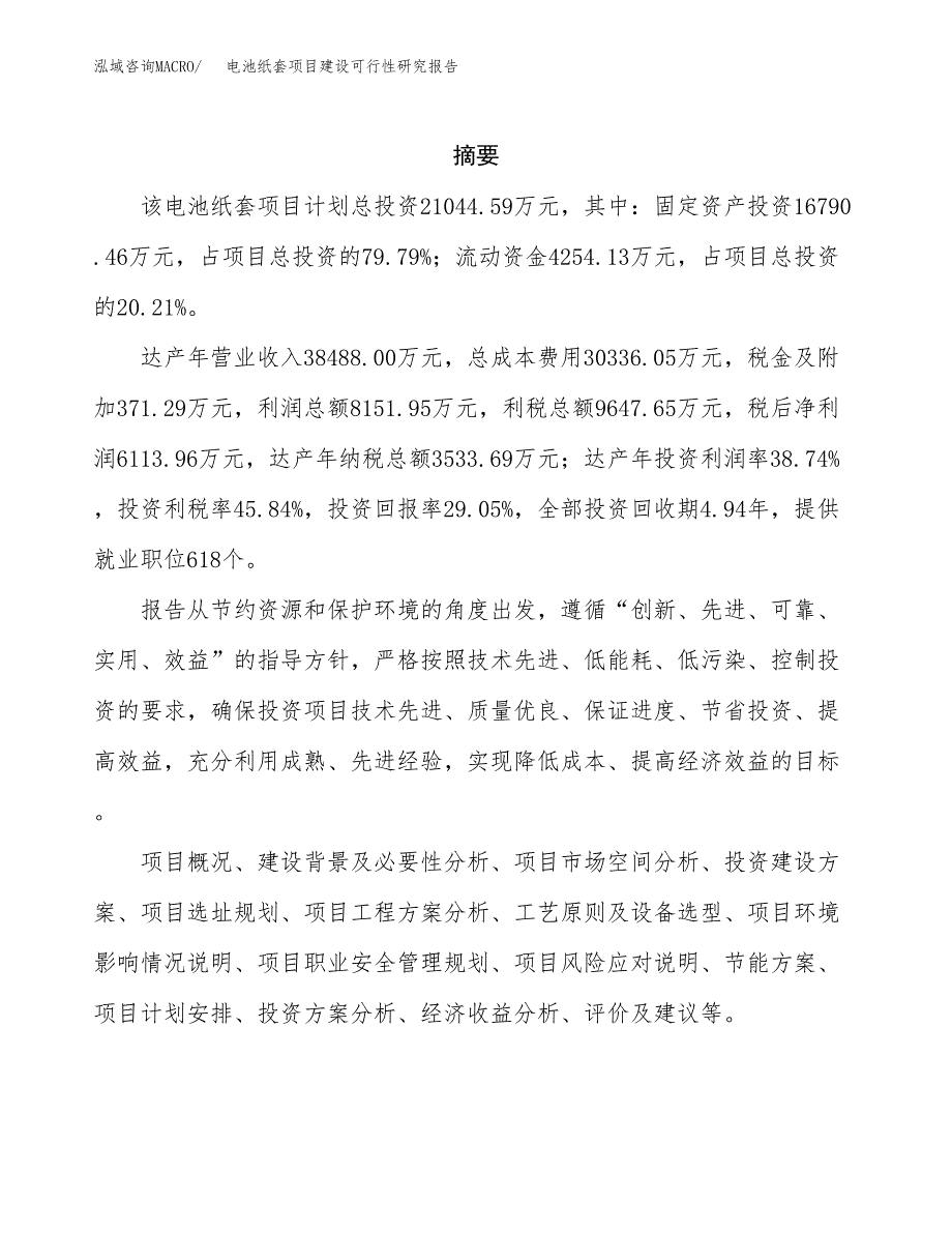 电池纸套项目建设可行性研究报告.docx_第2页