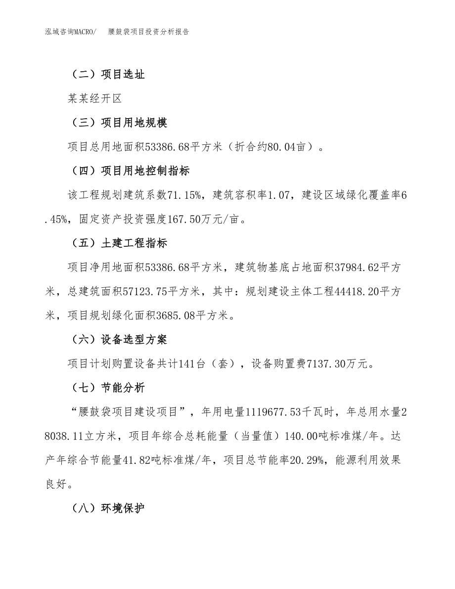 腰鼓袋项目投资分析报告（总投资18000万元）（80亩）_第5页