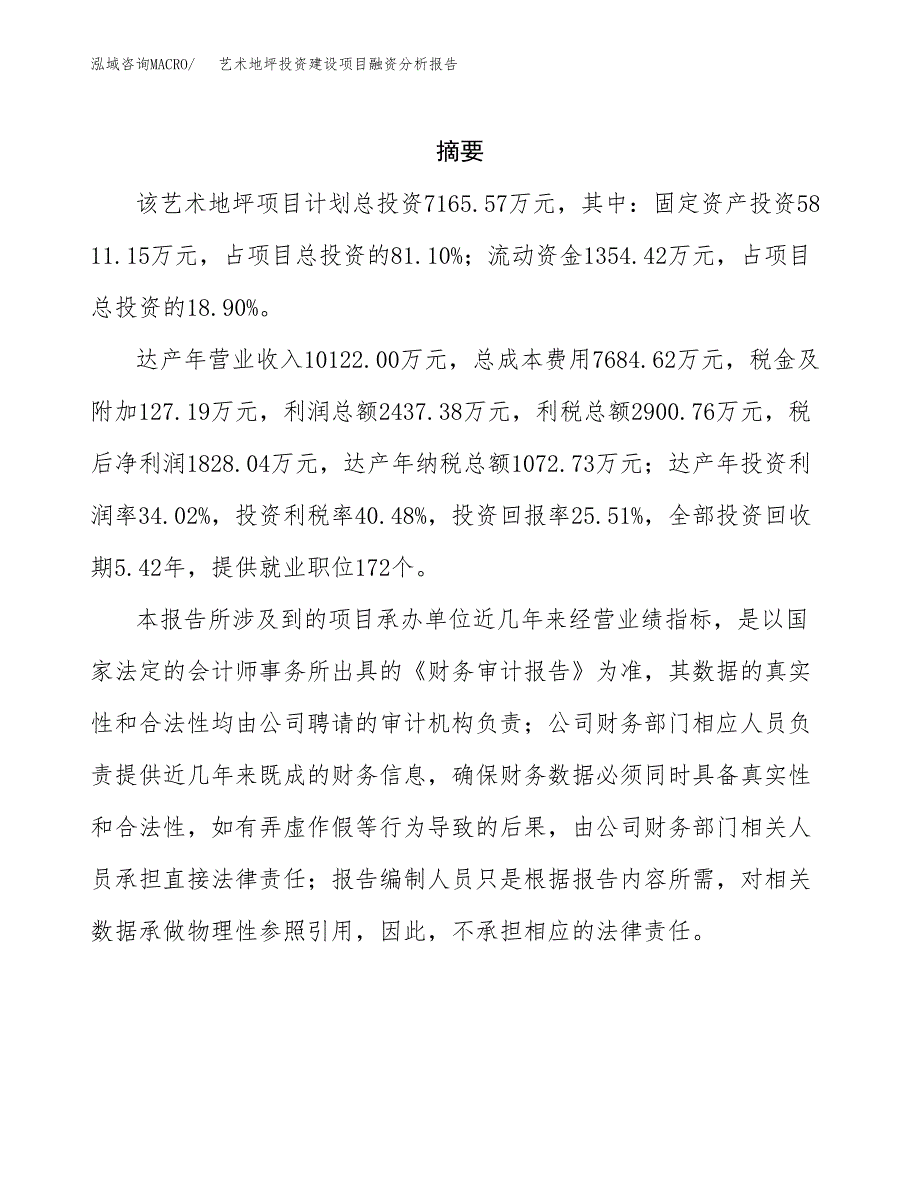 艺术地坪投资建设项目融资分析报告.docx_第2页