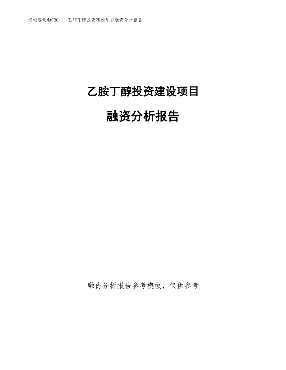 乙胺丁醇投资建设项目融资分析报告.docx_第1页