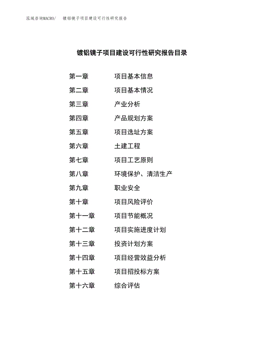 镀铝镜子项目建设可行性研究报告.docx_第3页