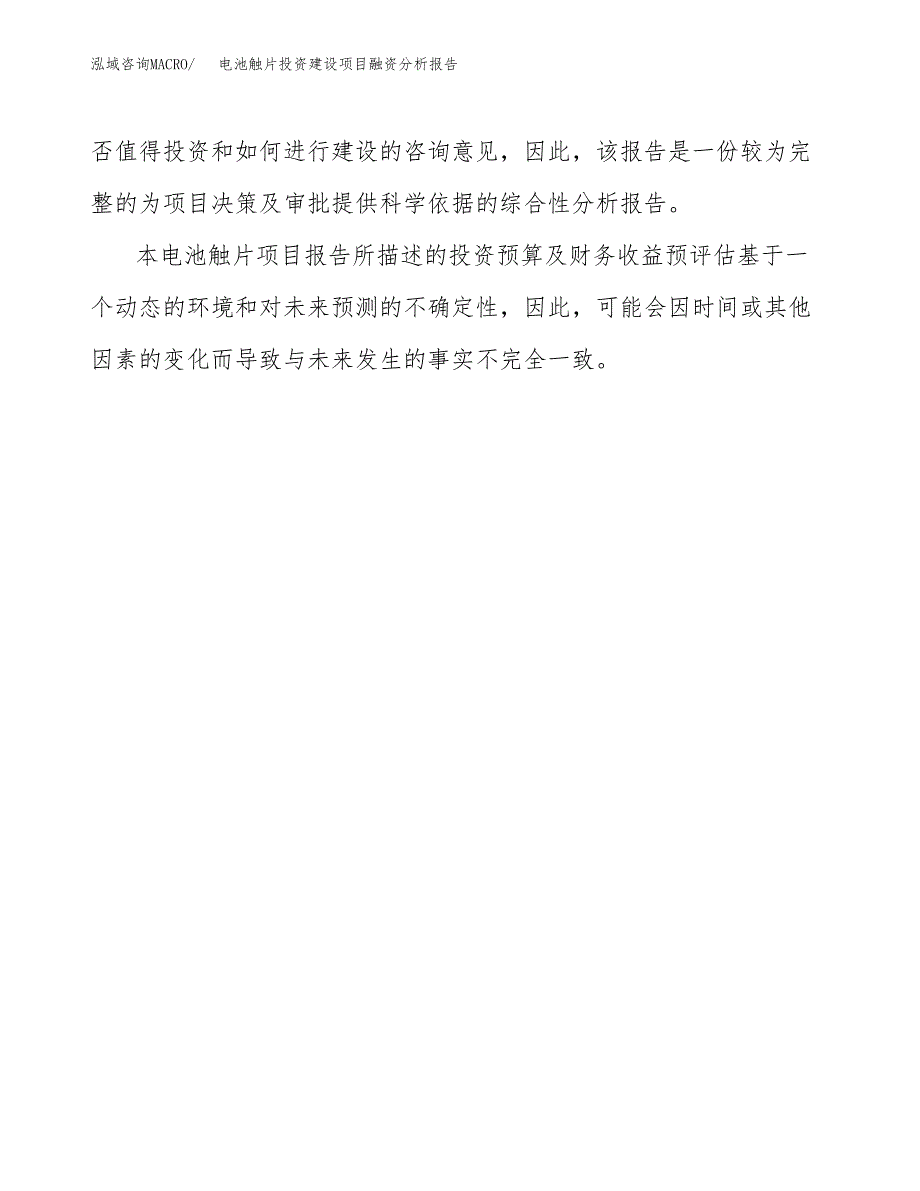 电池触片投资建设项目融资分析报告.docx_第3页