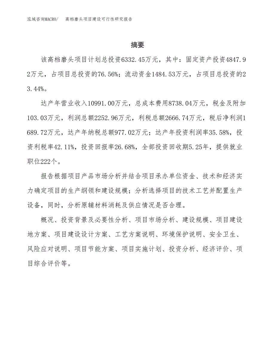 高档磨头项目建设可行性研究报告.docx_第2页