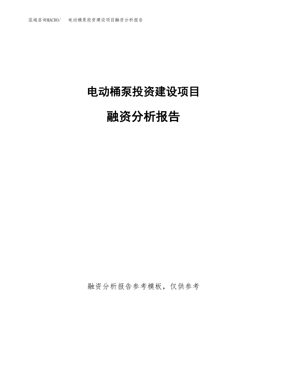 电动桶泵投资建设项目融资分析报告.docx_第1页