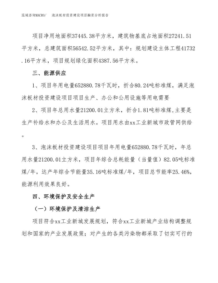 泡沫板材投资建设项目融资分析报告.docx_第5页