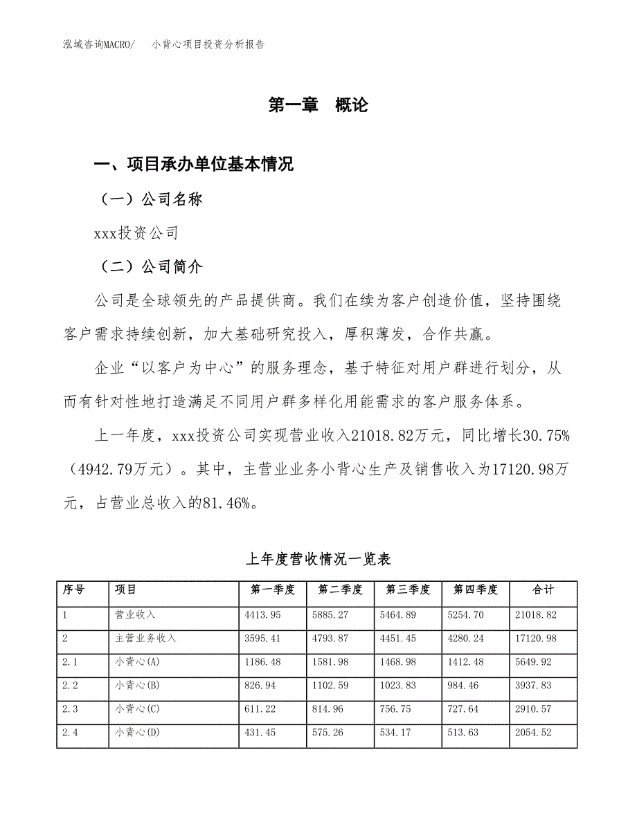 小背心项目投资分析报告（总投资11000万元）（47亩）_第2页