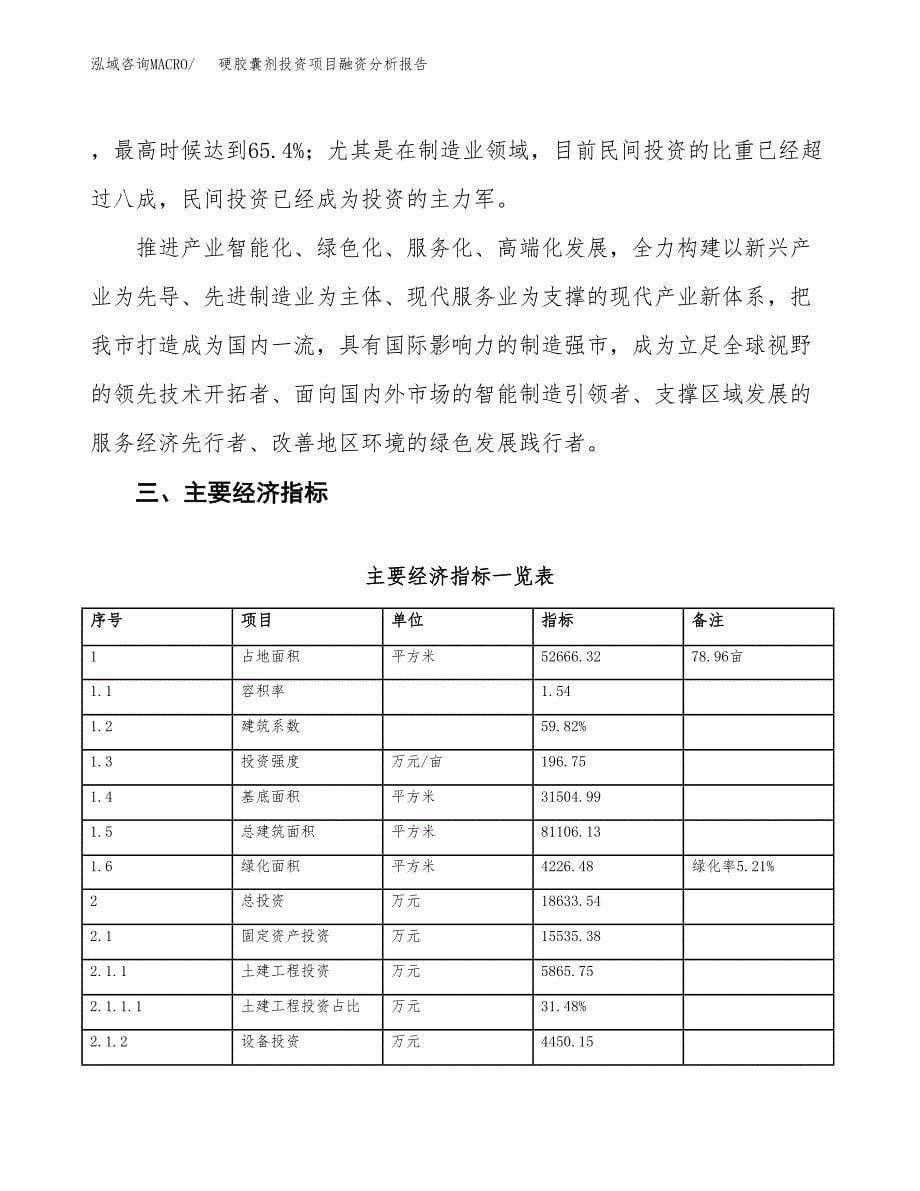 硬胶囊剂投资项目融资分析报告.docx_第5页