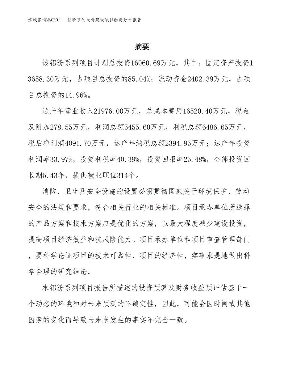 铝粉系列投资建设项目融资分析报告.docx_第2页