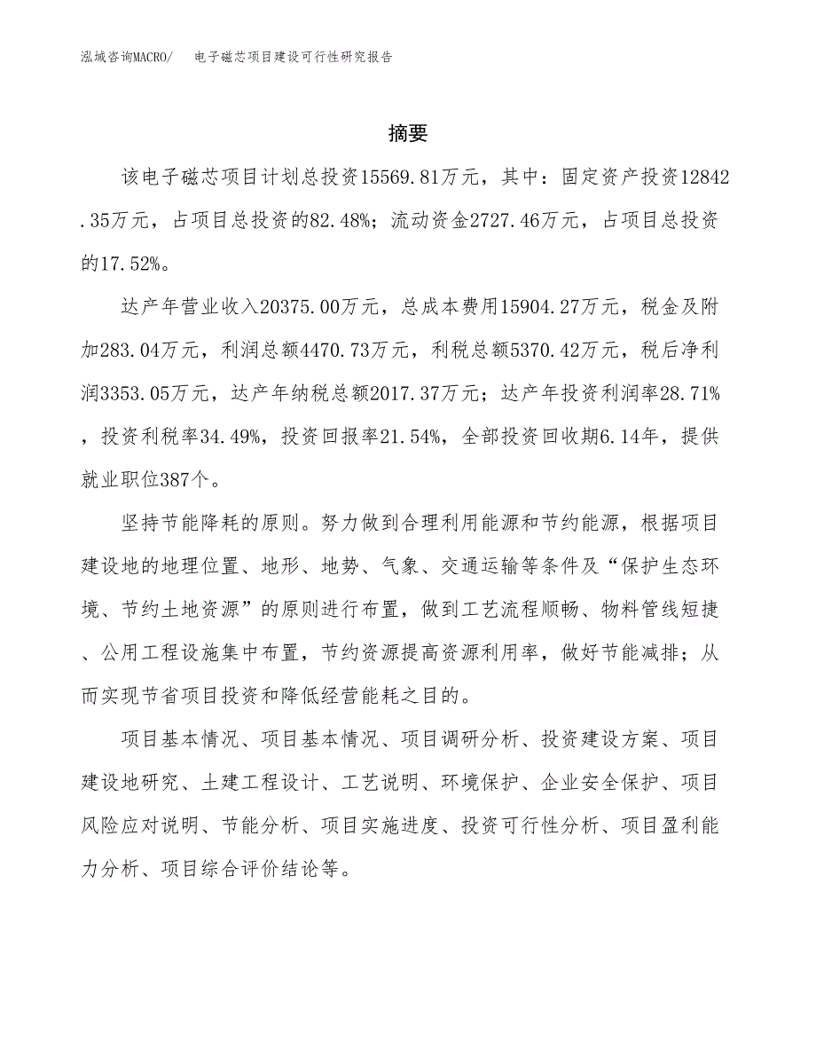 电子磁芯项目建设可行性研究报告.docx_第2页