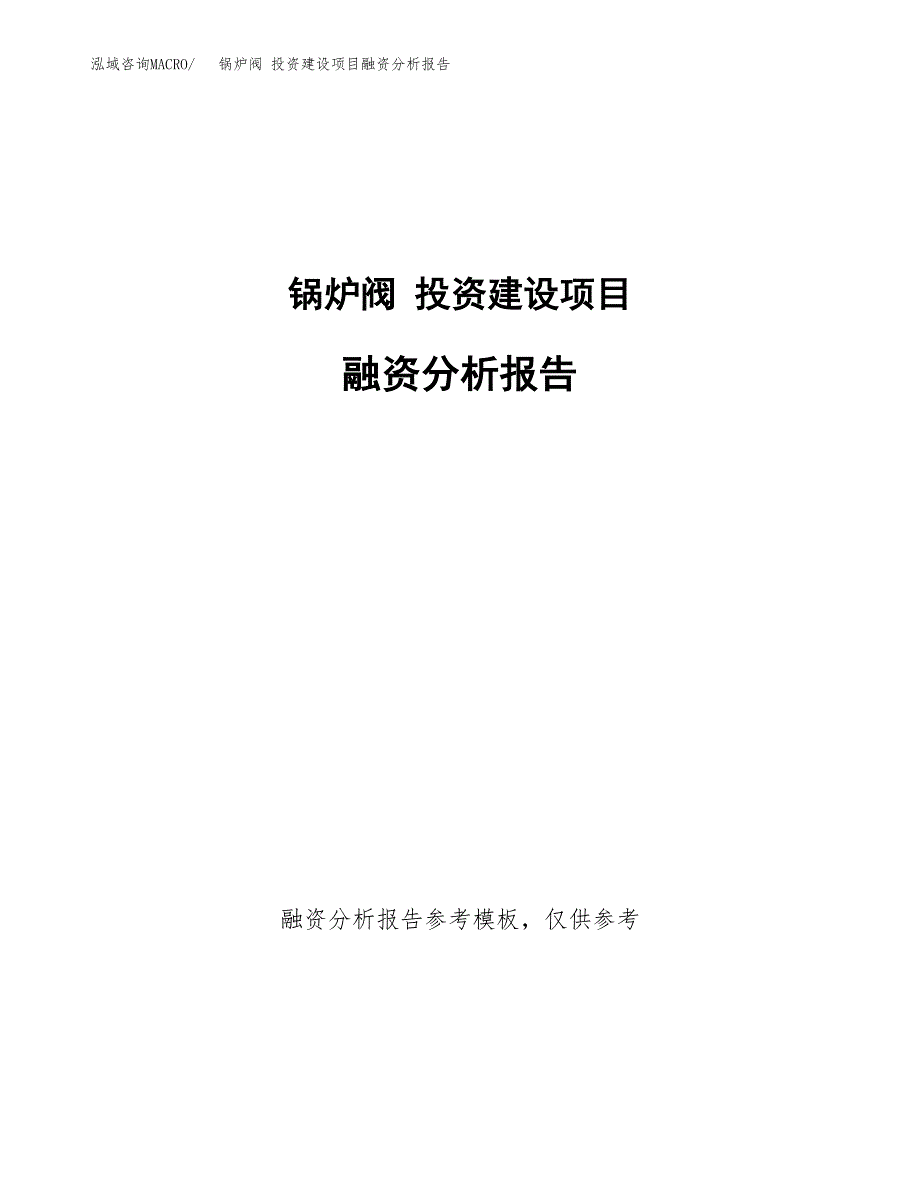 锅炉阀 投资建设项目融资分析报告.docx_第1页