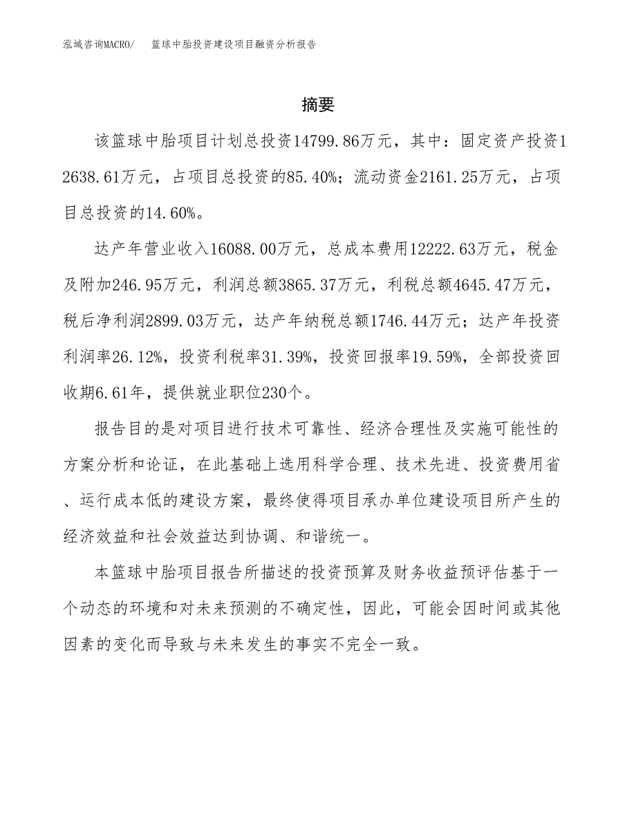 篮球中胎投资建设项目融资分析报告.docx_第2页