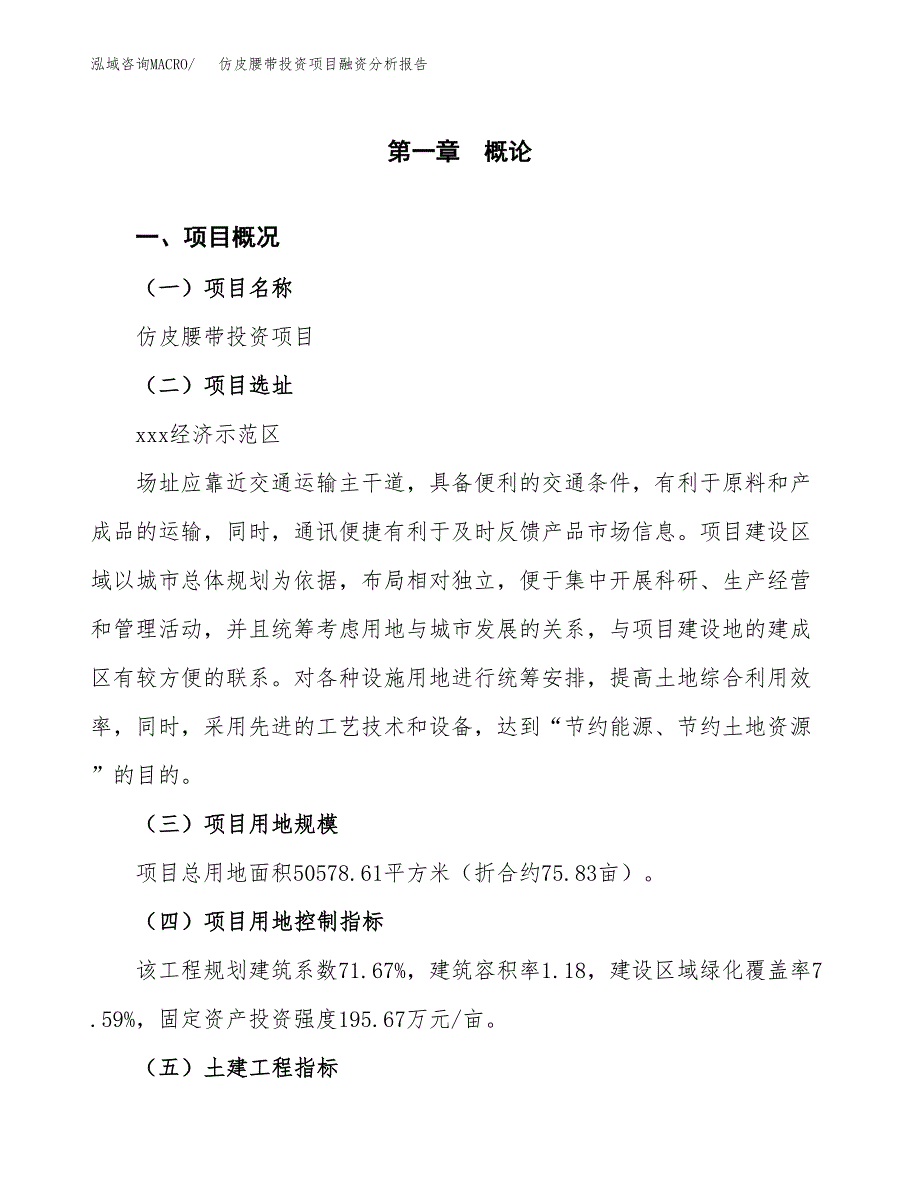 仿皮腰带投资项目融资分析报告.docx_第1页