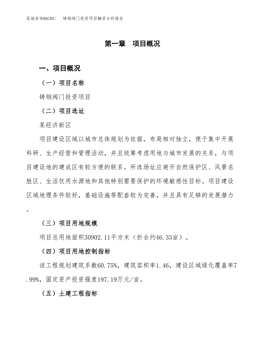 铸钢阀门投资项目融资分析报告.docx_第1页