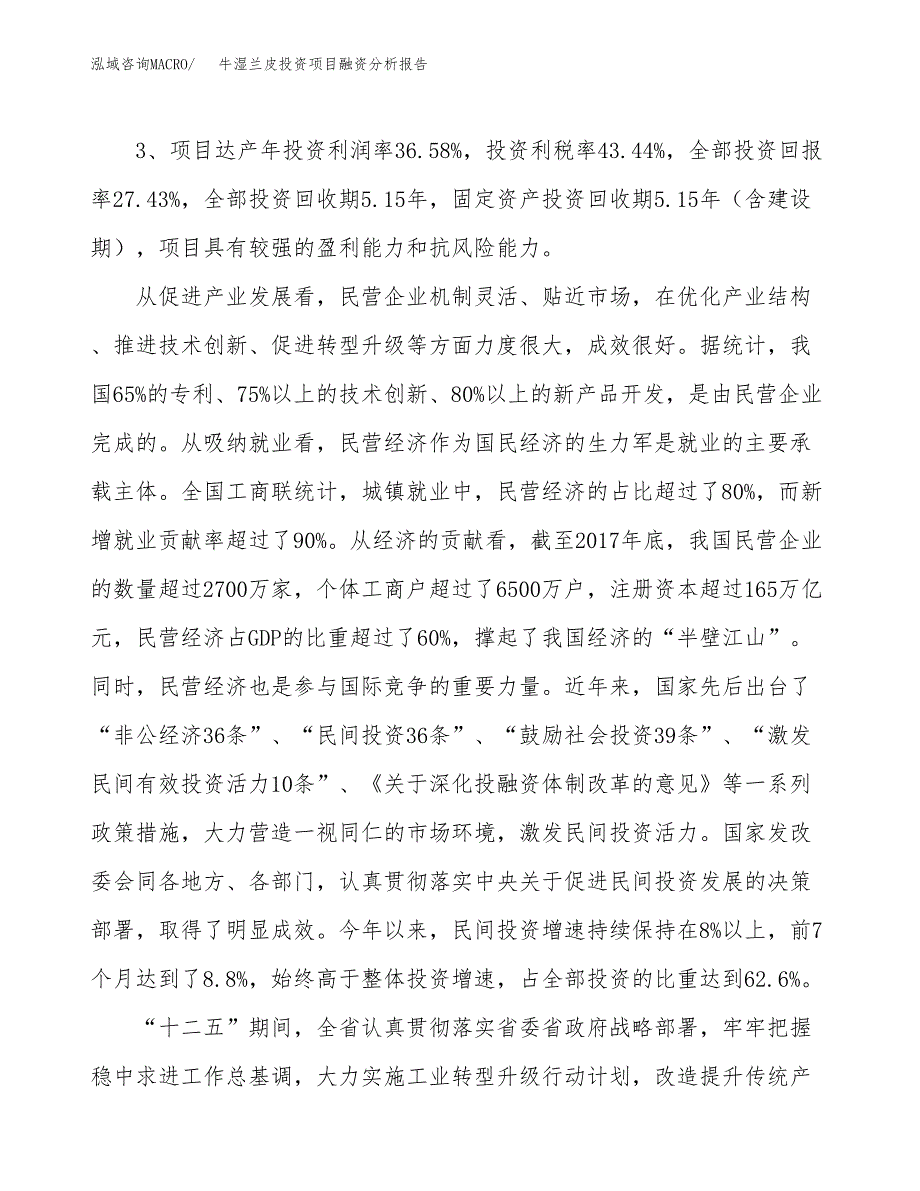 牛湿兰皮投资项目融资分析报告.docx_第4页