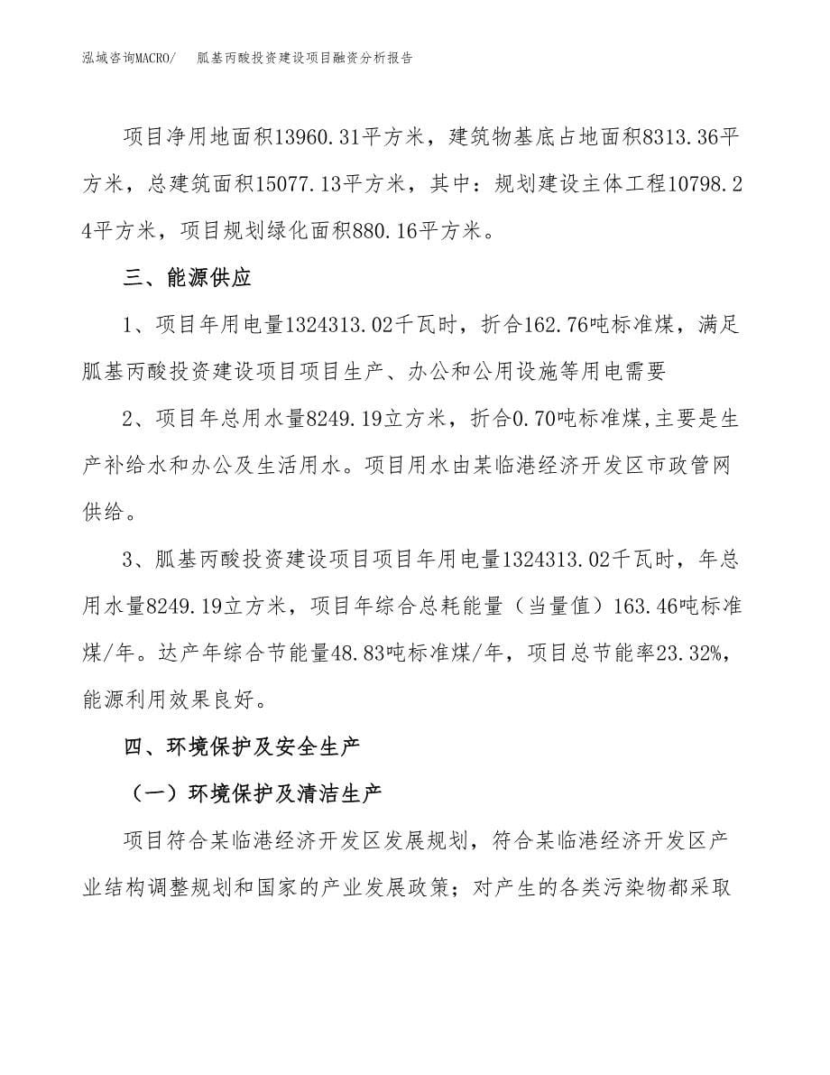 胍基丙酸投资建设项目融资分析报告.docx_第5页