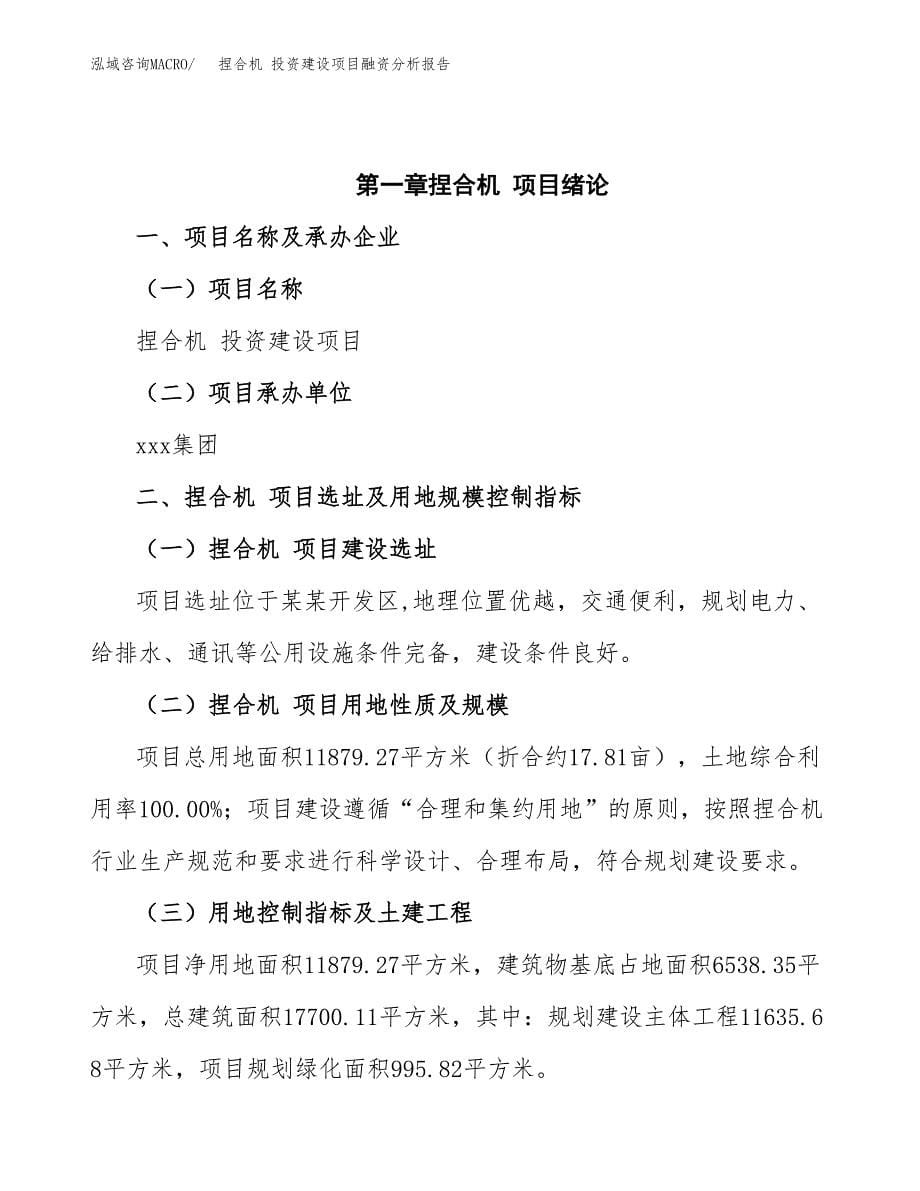 捏合机 投资建设项目融资分析报告.docx_第5页