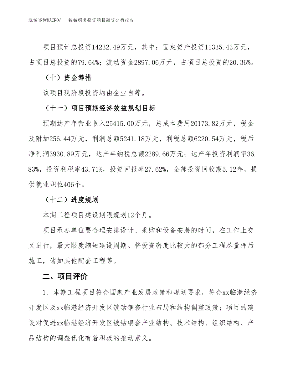 铍钴铜套投资项目融资分析报告.docx_第3页