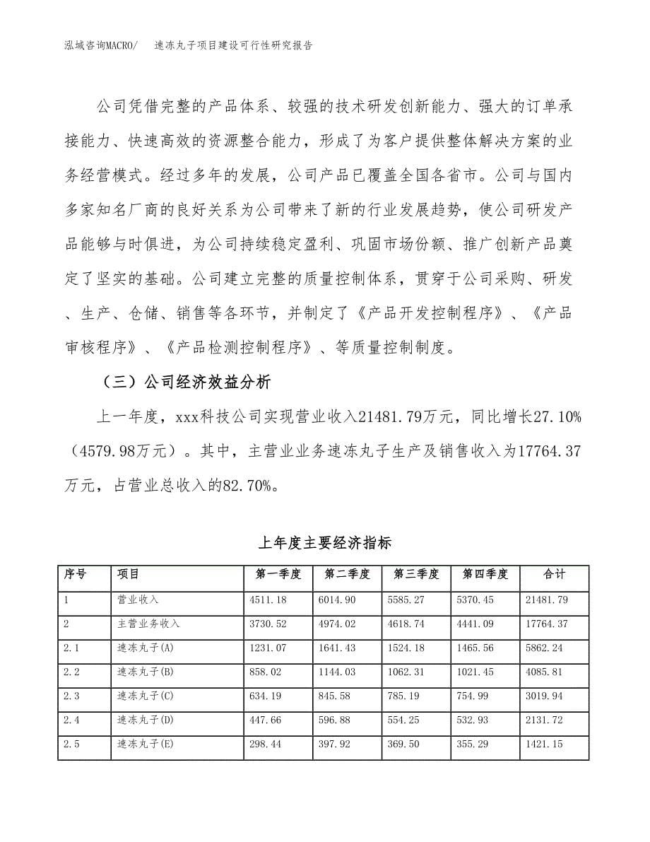 速冻丸子项目建设可行性研究报告.docx_第5页