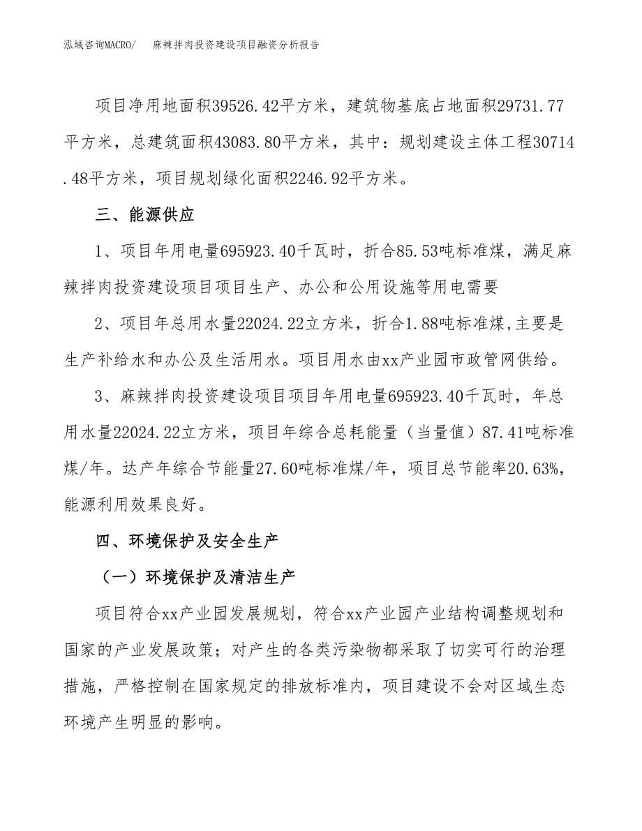 麻辣拌肉投资建设项目融资分析报告.docx_第5页