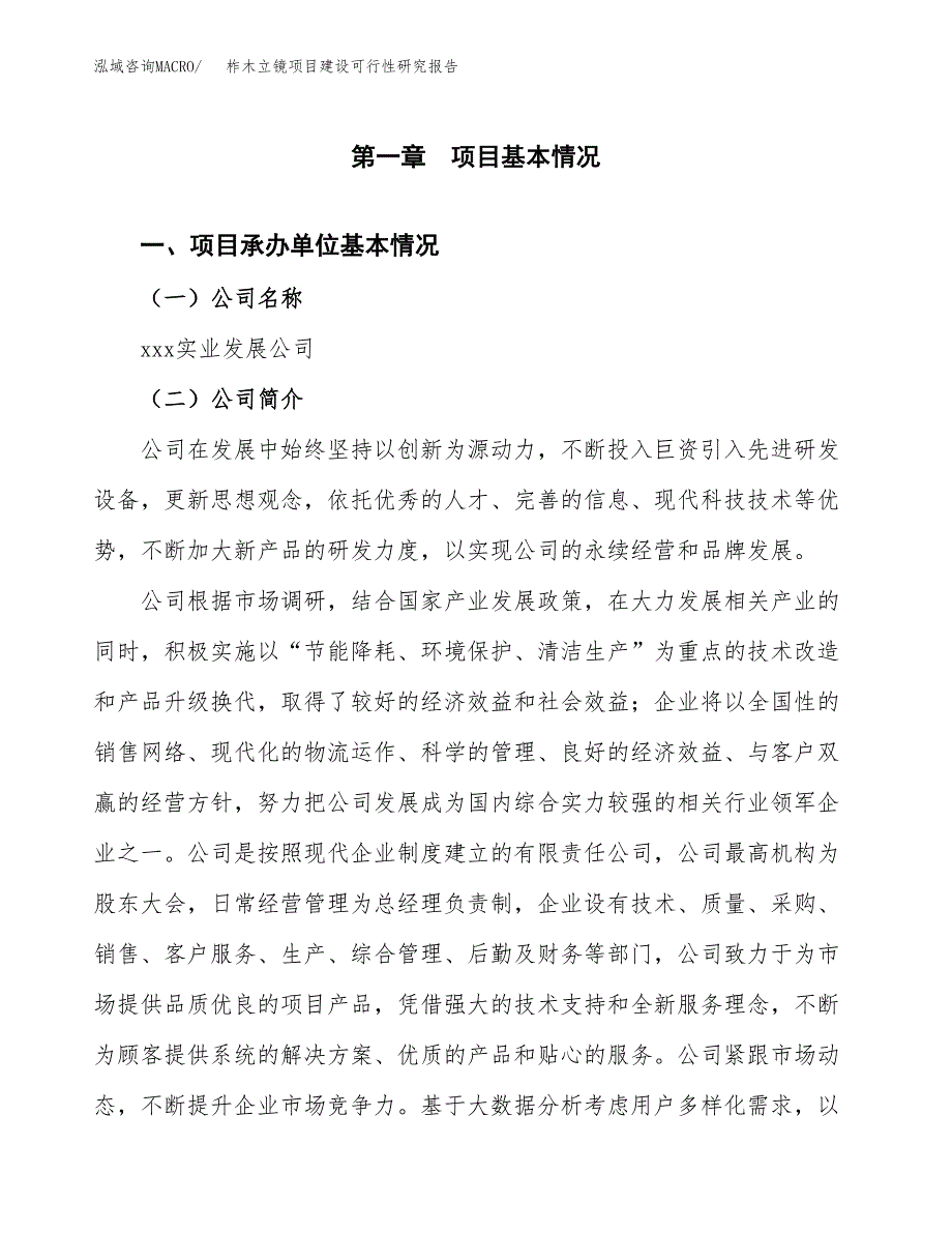 柞木立镜项目建设可行性研究报告.docx_第4页