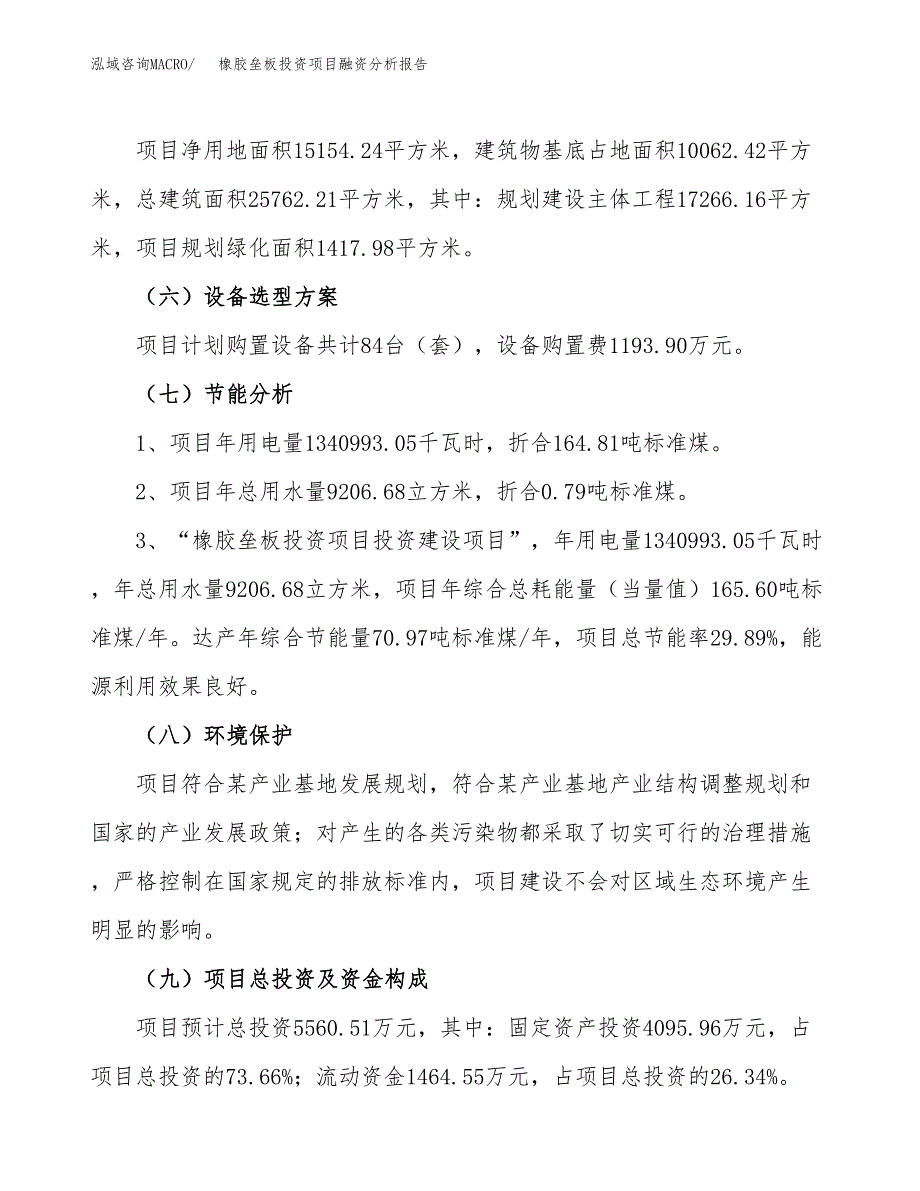 橡胶垒板投资项目融资分析报告.docx_第2页