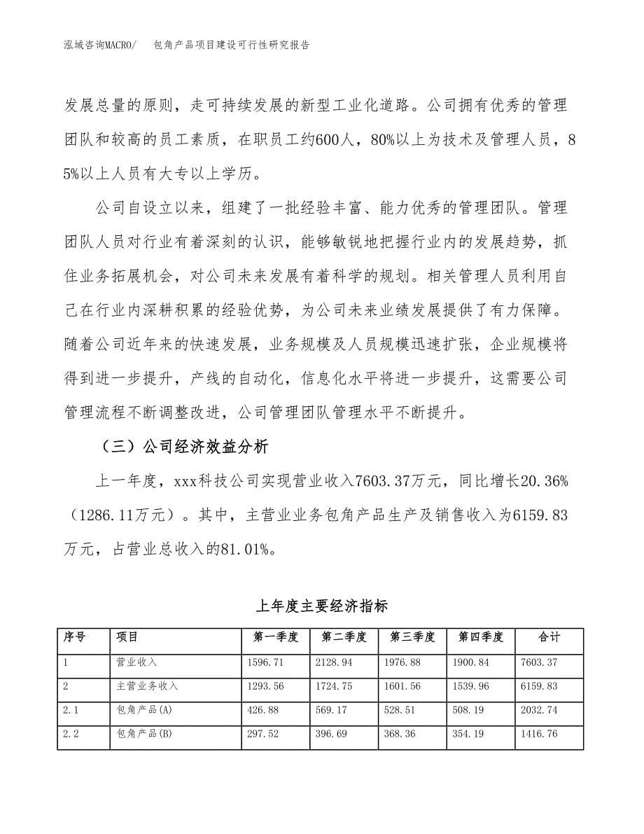 包角产品项目建设可行性研究报告.docx_第5页