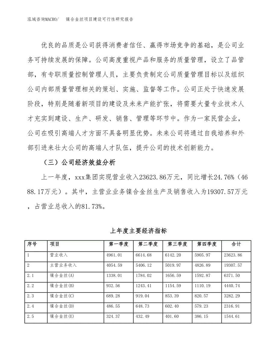 镍合金丝项目建设可行性研究报告.docx_第5页