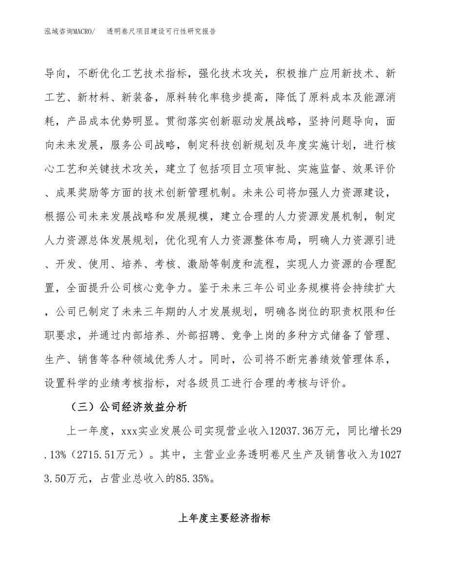 透明卷尺项目建设可行性研究报告.docx_第5页