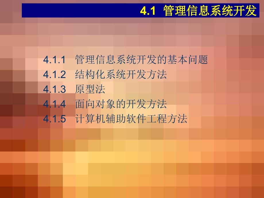 管理信息系统开发与规划_第2页