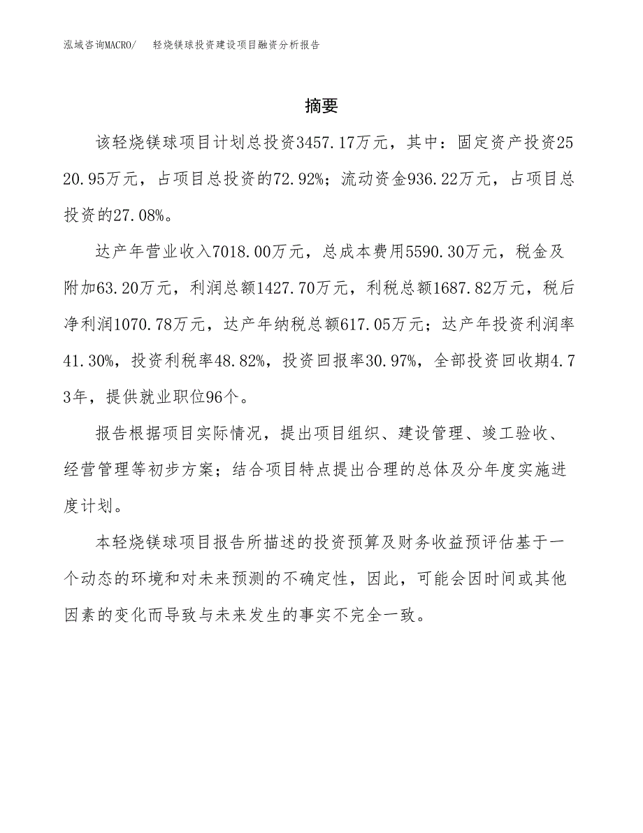 轻烧镁球投资建设项目融资分析报告.docx_第2页