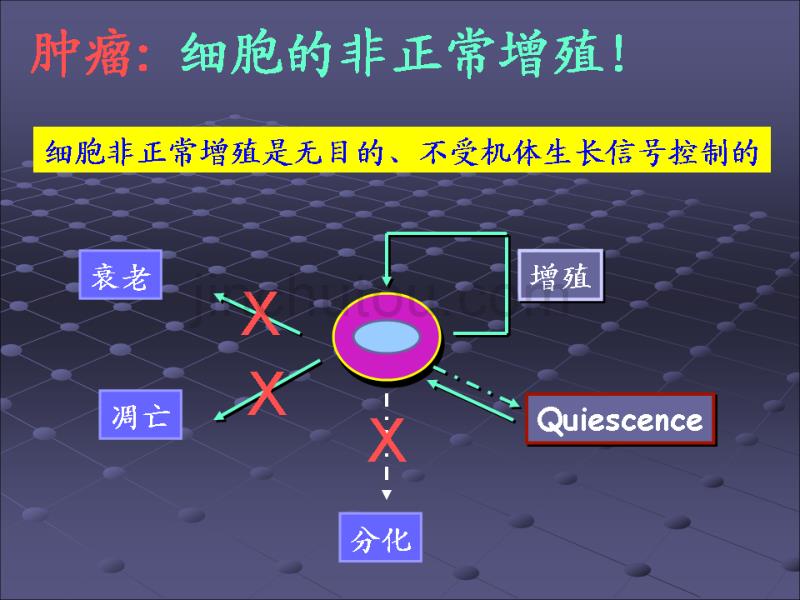 常见肿瘤的防治讲解_第3页